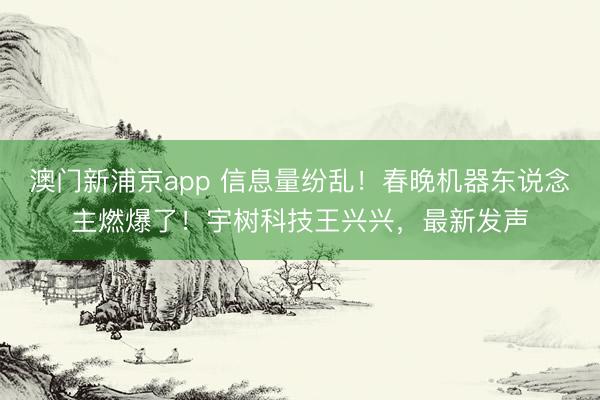 澳門新浦京app 信息量紛亂！春晚機器東說念主燃爆了！宇樹科技王興興，最新發聲