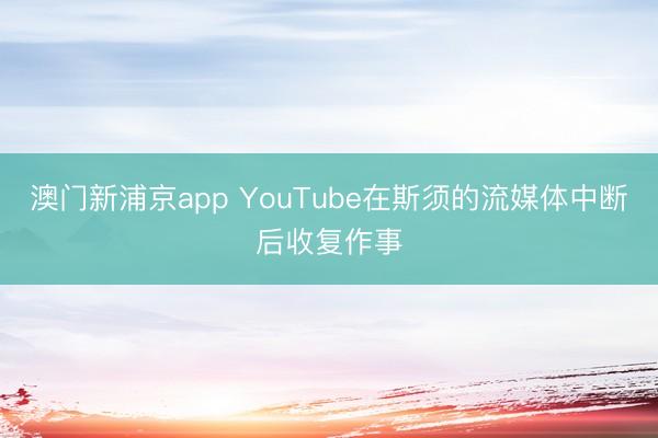 澳門新浦京app YouTube在斯須的流媒體中斷后收復(fù)作事