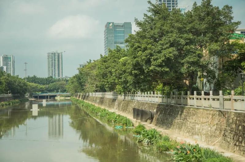 寶安水經(jīng)注&middot;新安 | 堤岸拂綠、花紅臨水,河流讓城市更靈動